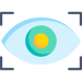 vision vision